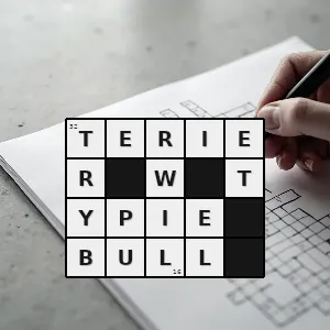 Hasło krzyżówkowe typ psa uzyskanego poprzez krzyżowanie buldogów z terierami w celu wytworzenia idealnego psa walczącego - terier w typie bull – rozwiązanie, synonimy, podpowiedzi i definicje krzyżówkowe